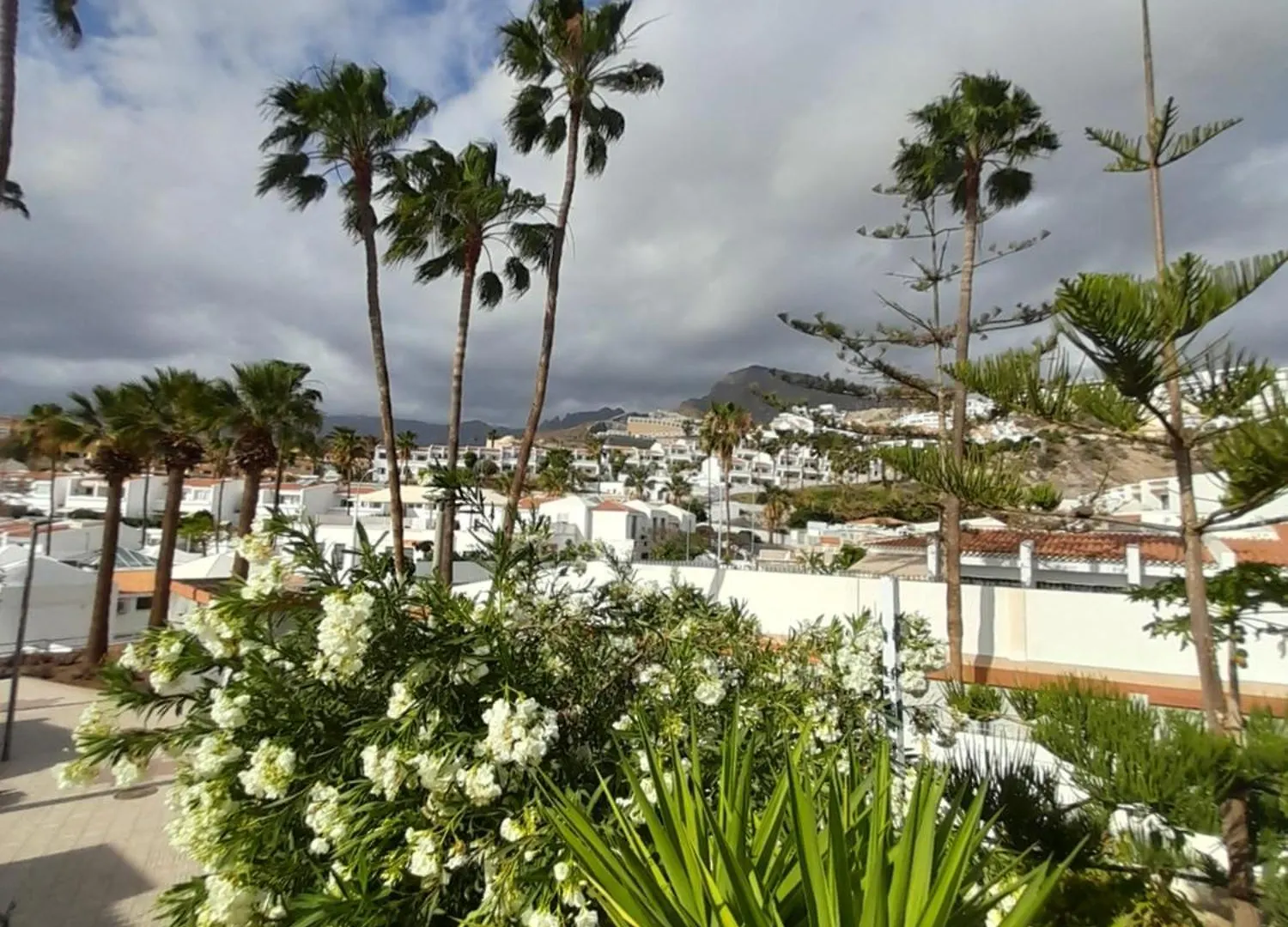 Apartments Island Village Heights Costa Adeje  Spain